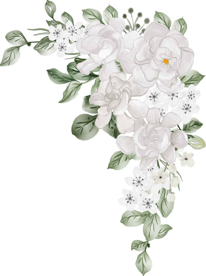 flower arrangement of Gardenia white watercolor illustration